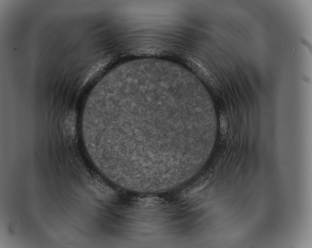 X0000090990396200708241431