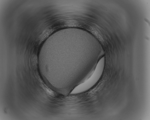 X0000090990397200708241431