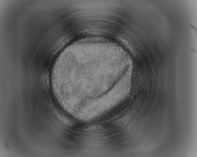 X0000090990398200708241431