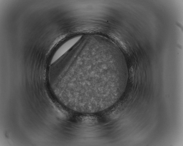 X0000090990400200708241431