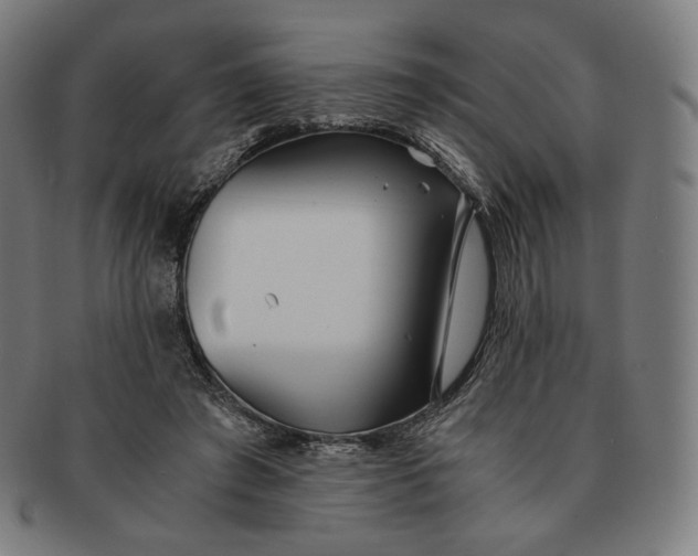 X0000090990401200708241431