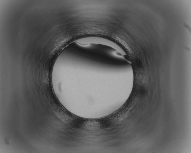 X0000090990403200708241431