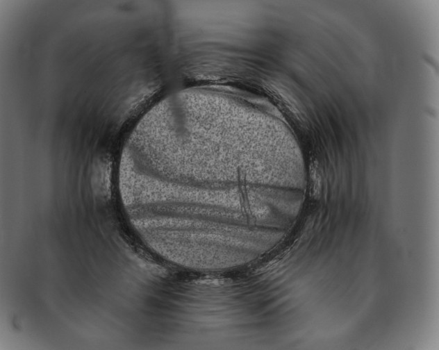 X0000090990404200708241431