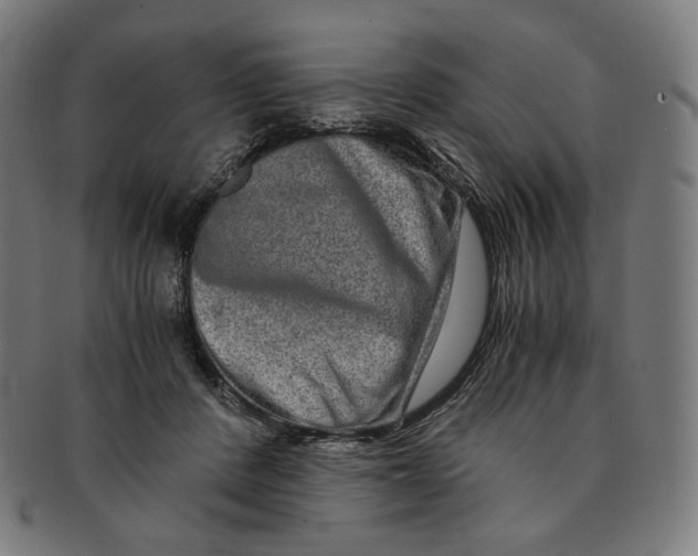 X0000090990408200708241431