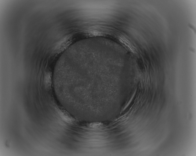 X0000090990410200708241431