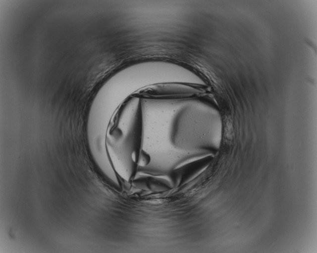 X0000090990411200708241431