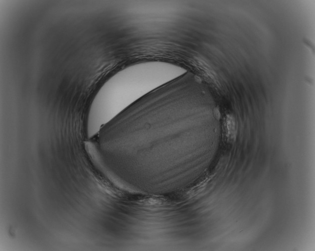 X0000090990412200708241431