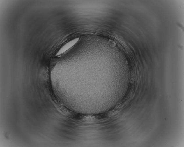 X0000090990413200708241431