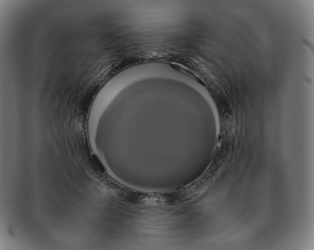 X0000090990415200708241430