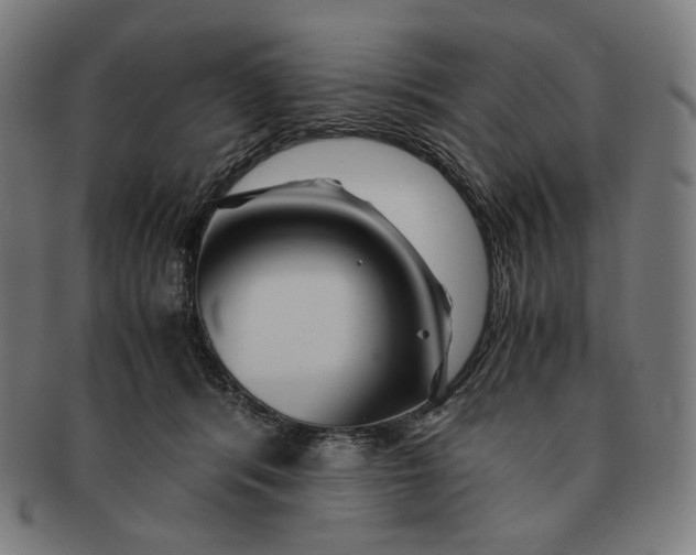 X0000090990416200708241430