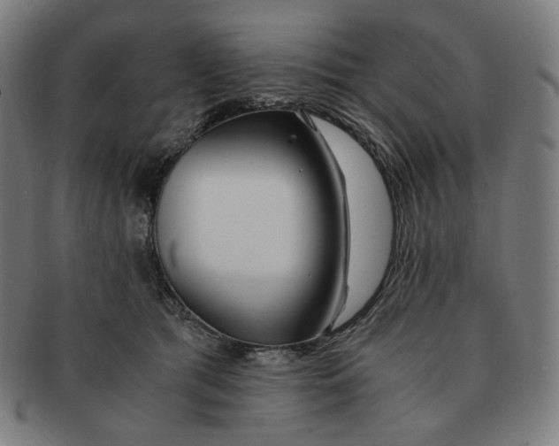 X0000090990417200708241430