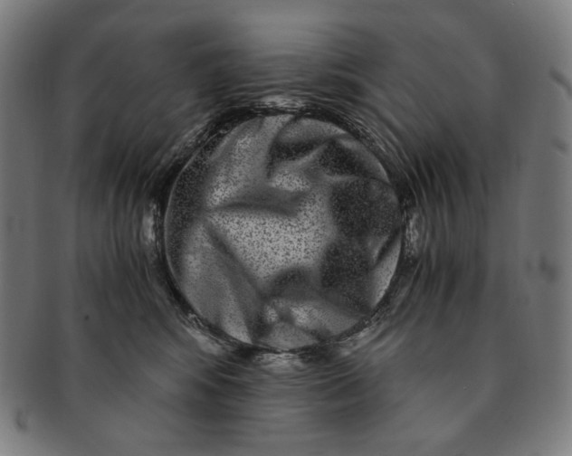 X0000090990424200708241430