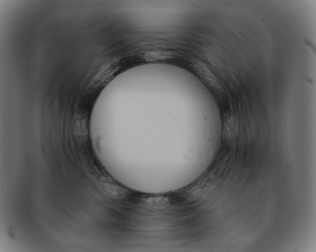 X0000090990426200708241430