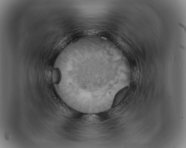 X0000090990427200708241430