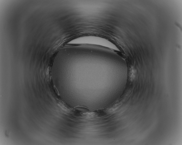 X0000090990428200708241430