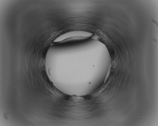 X0000090990429200708241430