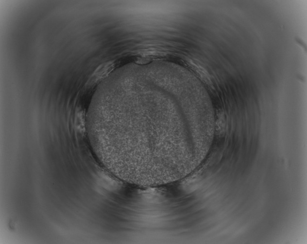 X0000090990430200708241430