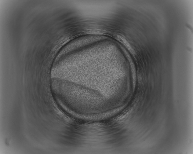 X0000090990433200708241430