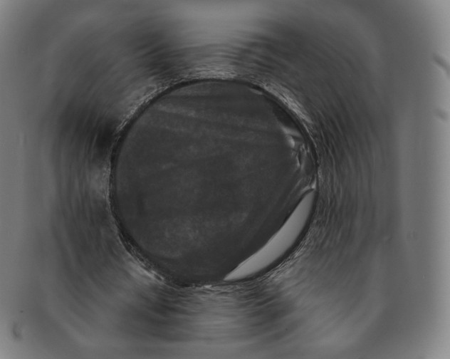 X0000090990434200708241430