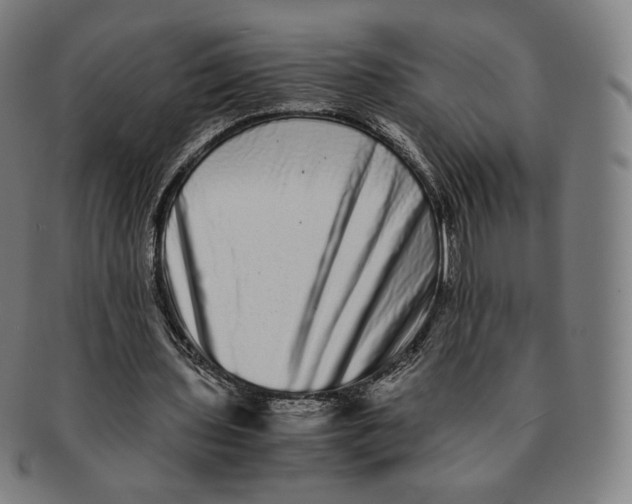 X0000090990435200708241430