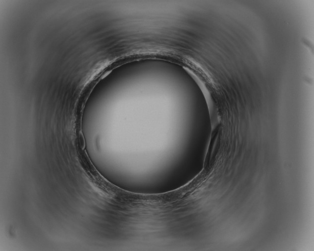 X0000090990436200708241430