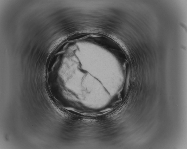 X0000090990437200708241430