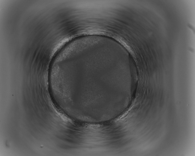 X0000090990438200708241430