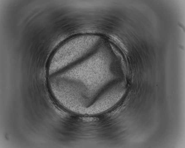 X0000090990439200708241430