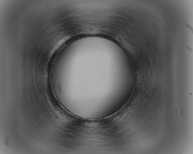 X0000090990440200708241430