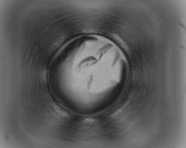 X0000090990441200708241430