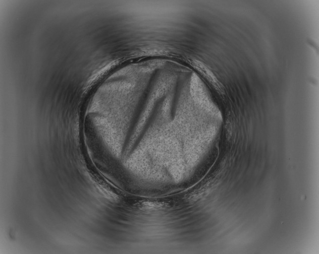 X0000090990442200708241430