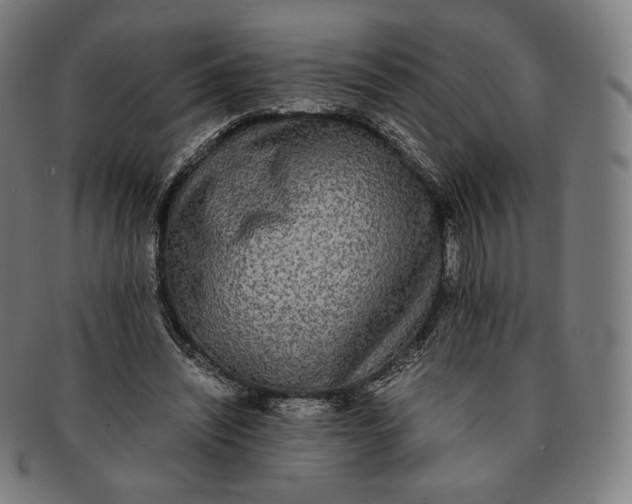 X0000090990444200708241430