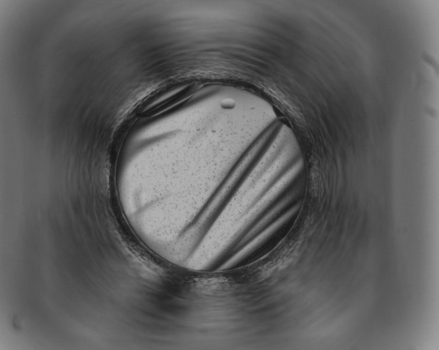 X0000090990446200708241430