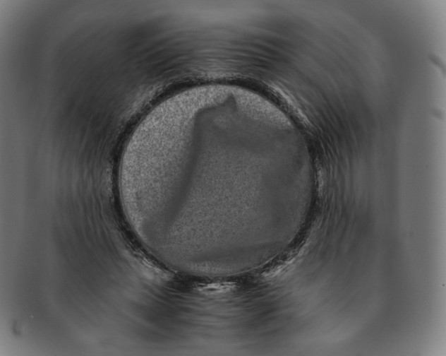 X0000090990447200708241430