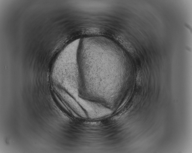 X0000090990449200708241430