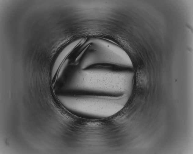 X0000090990450200708241430