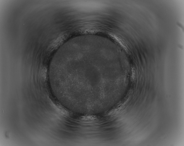 X0000090990451200708241430