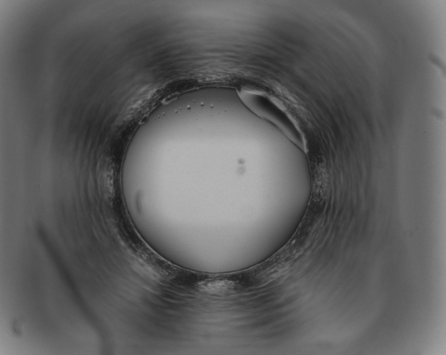 X0000090990452200708241430