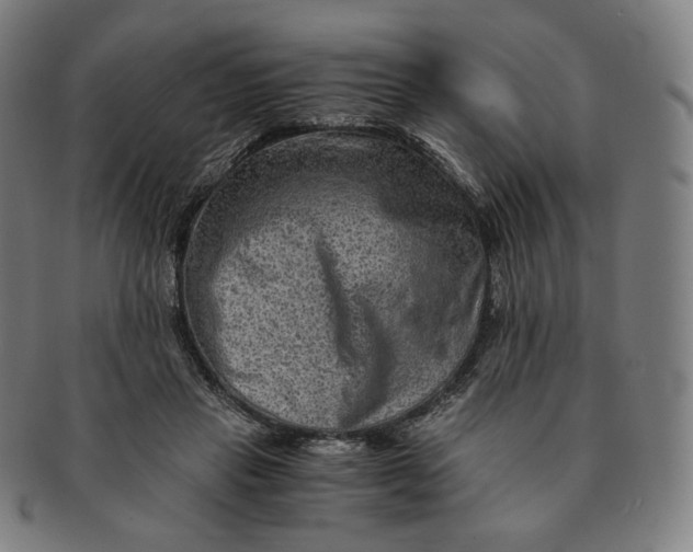 X0000090990453200708241430