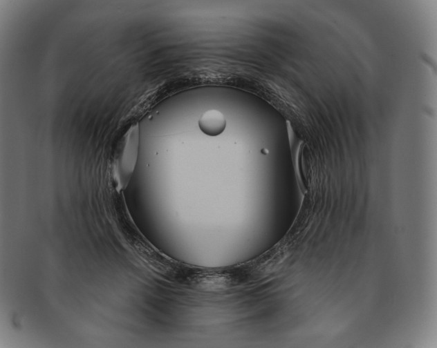 X0000090990456200708241430