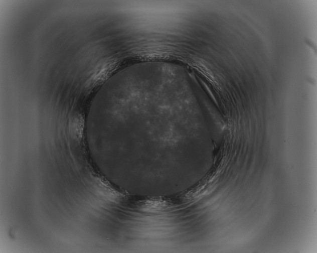 X0000090990458200708241430