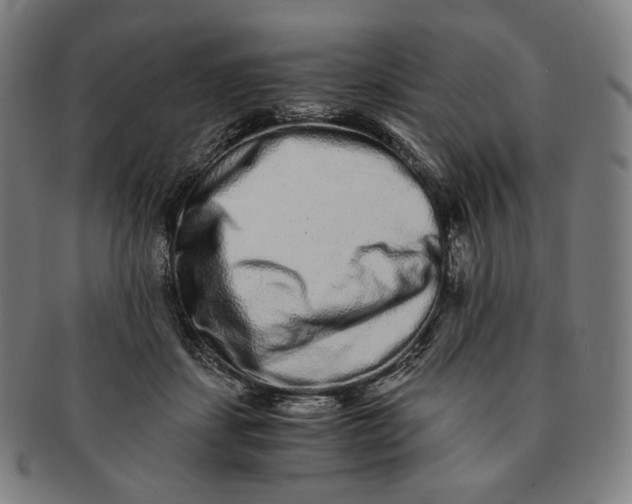 X0000090990459200708241430