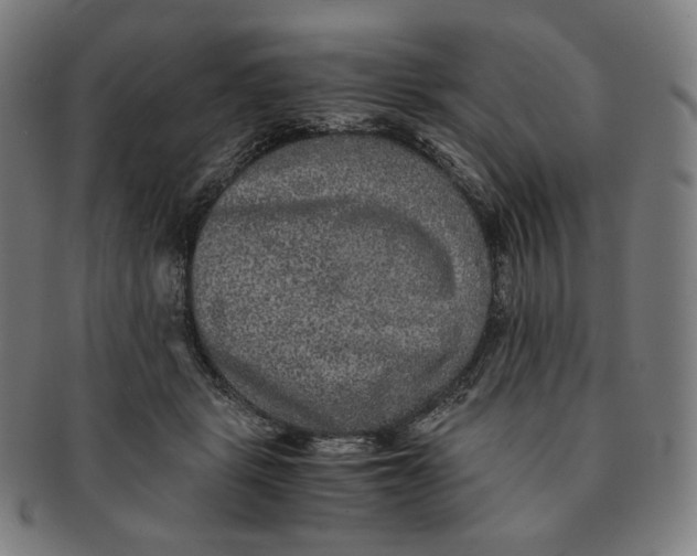 X0000090990461200708241430