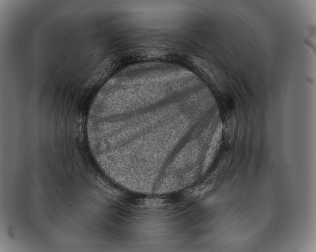 X0000090990462200708241430