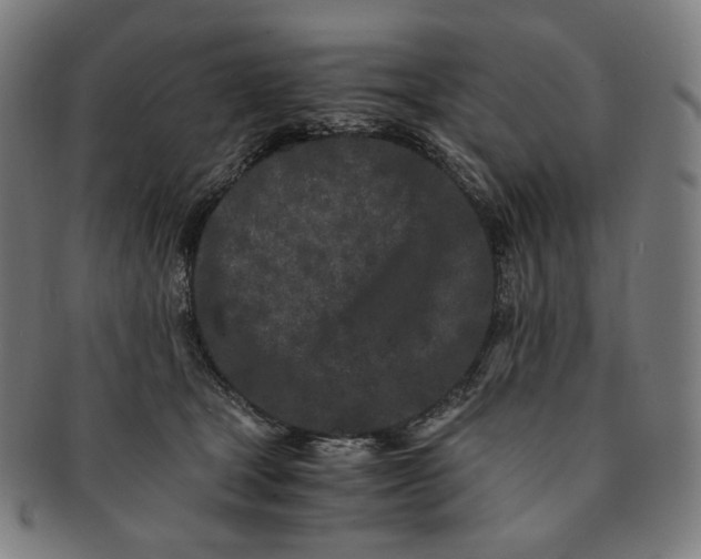 X0000090990465200708241430