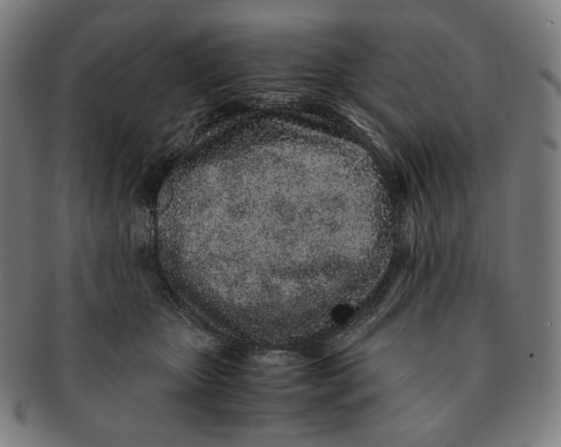 X0000090990467200708241430