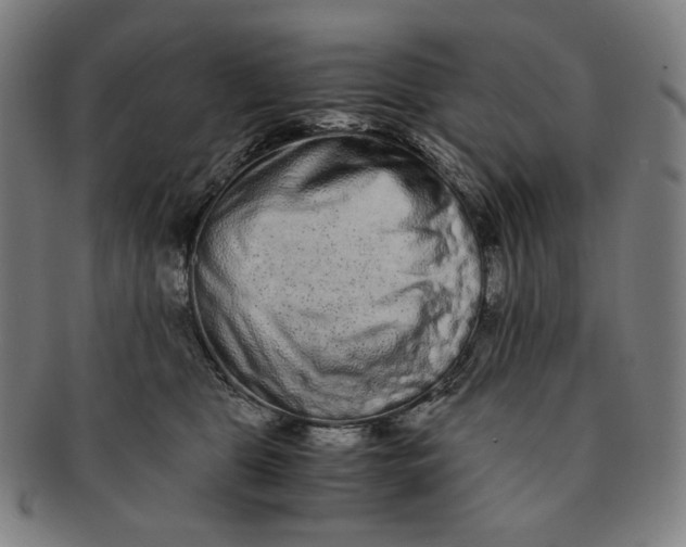 X0000090990469200708241430