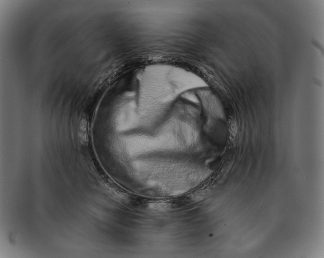 X0000090990470200708241430