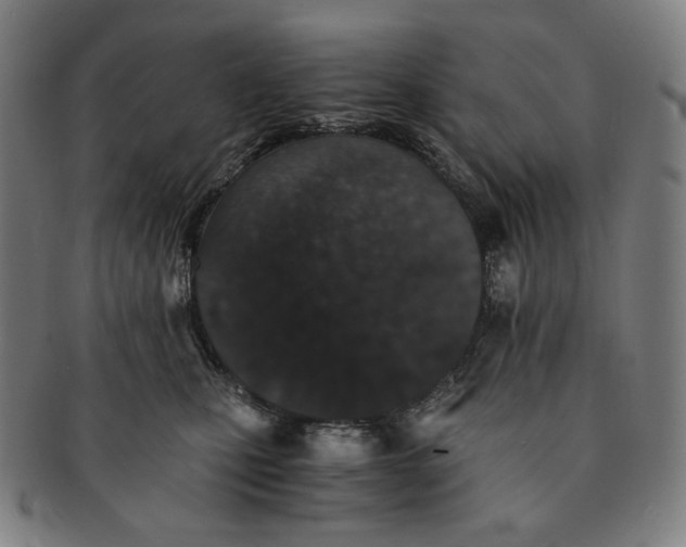 X0000090990471200708241430