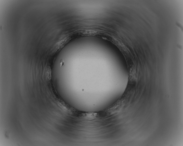 X0000090990474200708241430